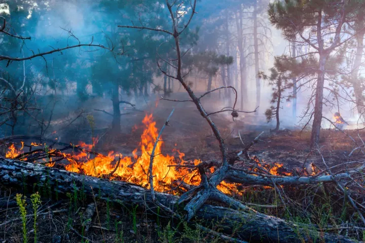 IBM Launches AI System That Monitors the Earth & Tracks Climate Change