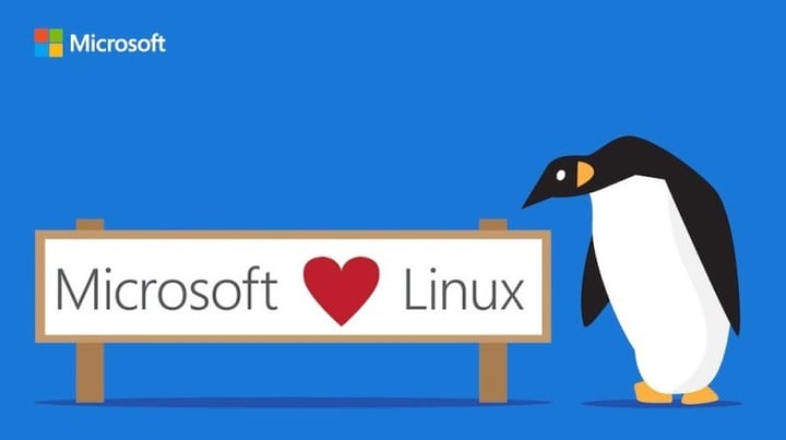 Microsoft Open Sources Windows Subsystem for Linux After Nearly a Decade